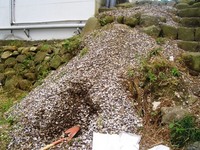 sijimi01.JPG