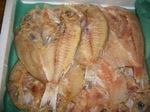 0911fish6.JPG