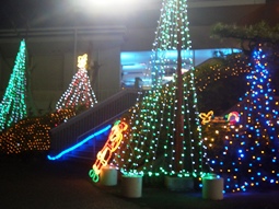 2010Xmas-3.JPG